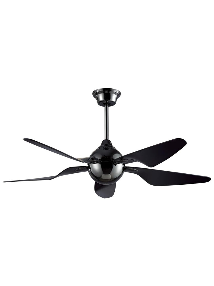 Designer Fans