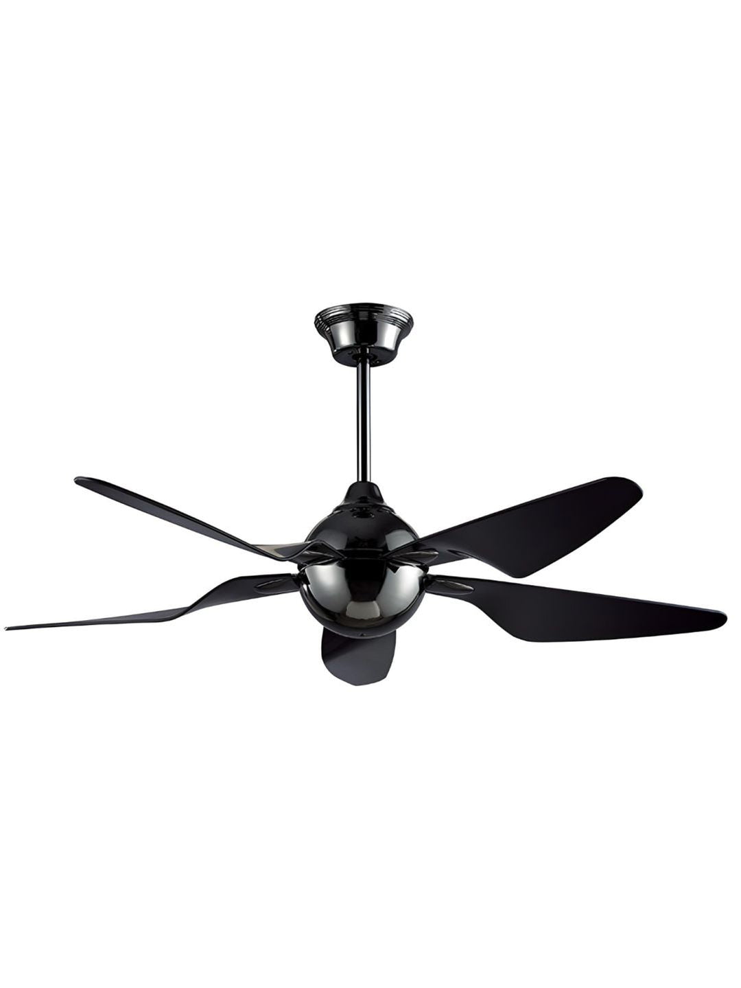 Designer Fans