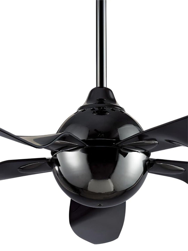 Designer Fans