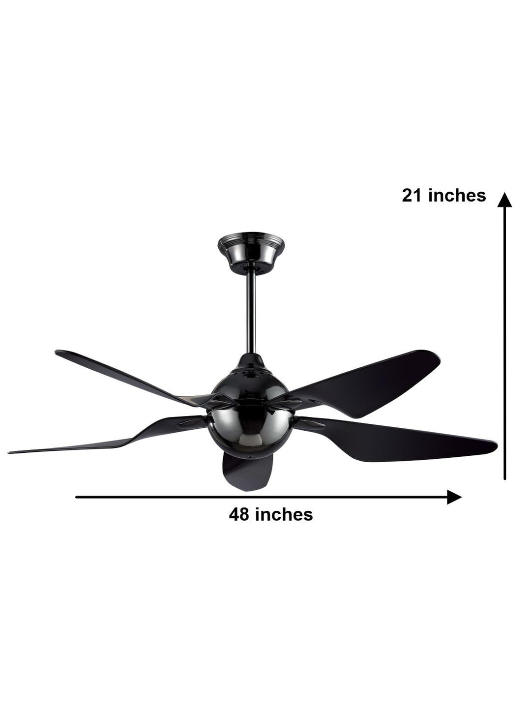 Designer Fans