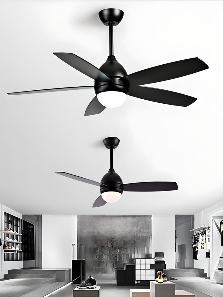 Designer Fans