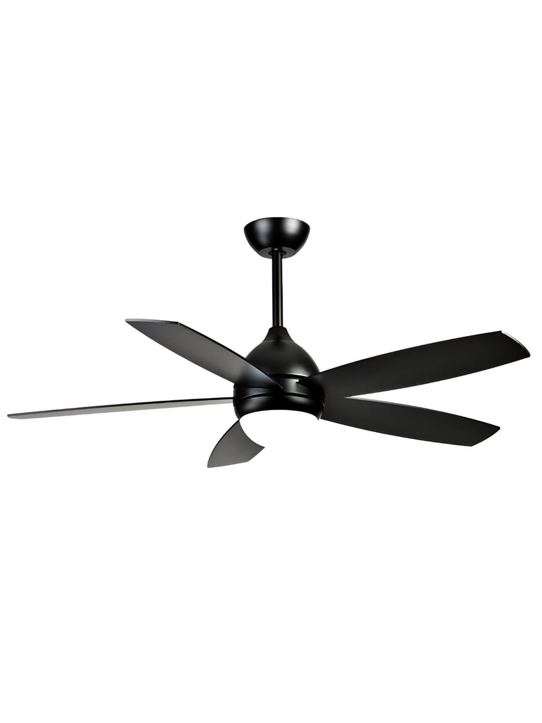 Designer Fans
