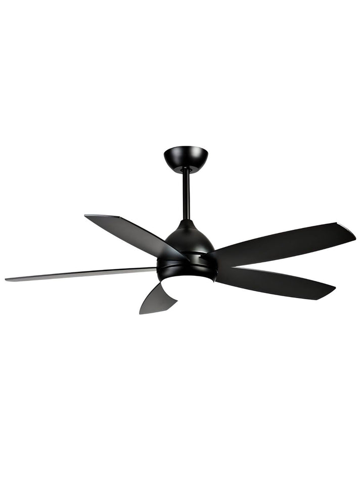 Designer Fans