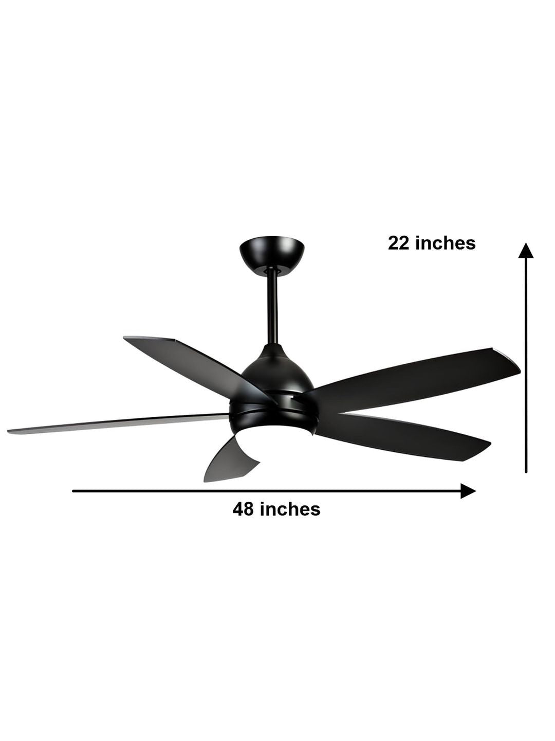 Designer Fans