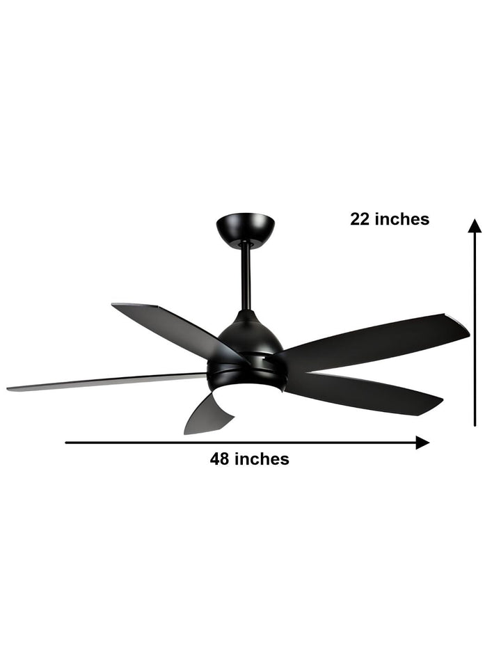 Designer Fans