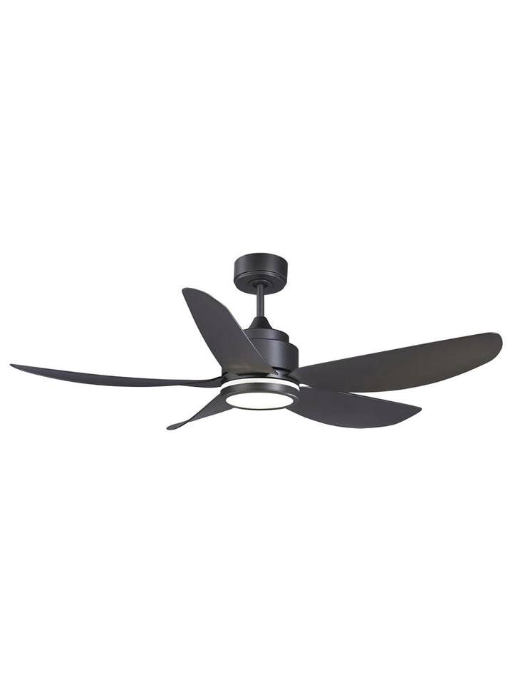 Designer Fans