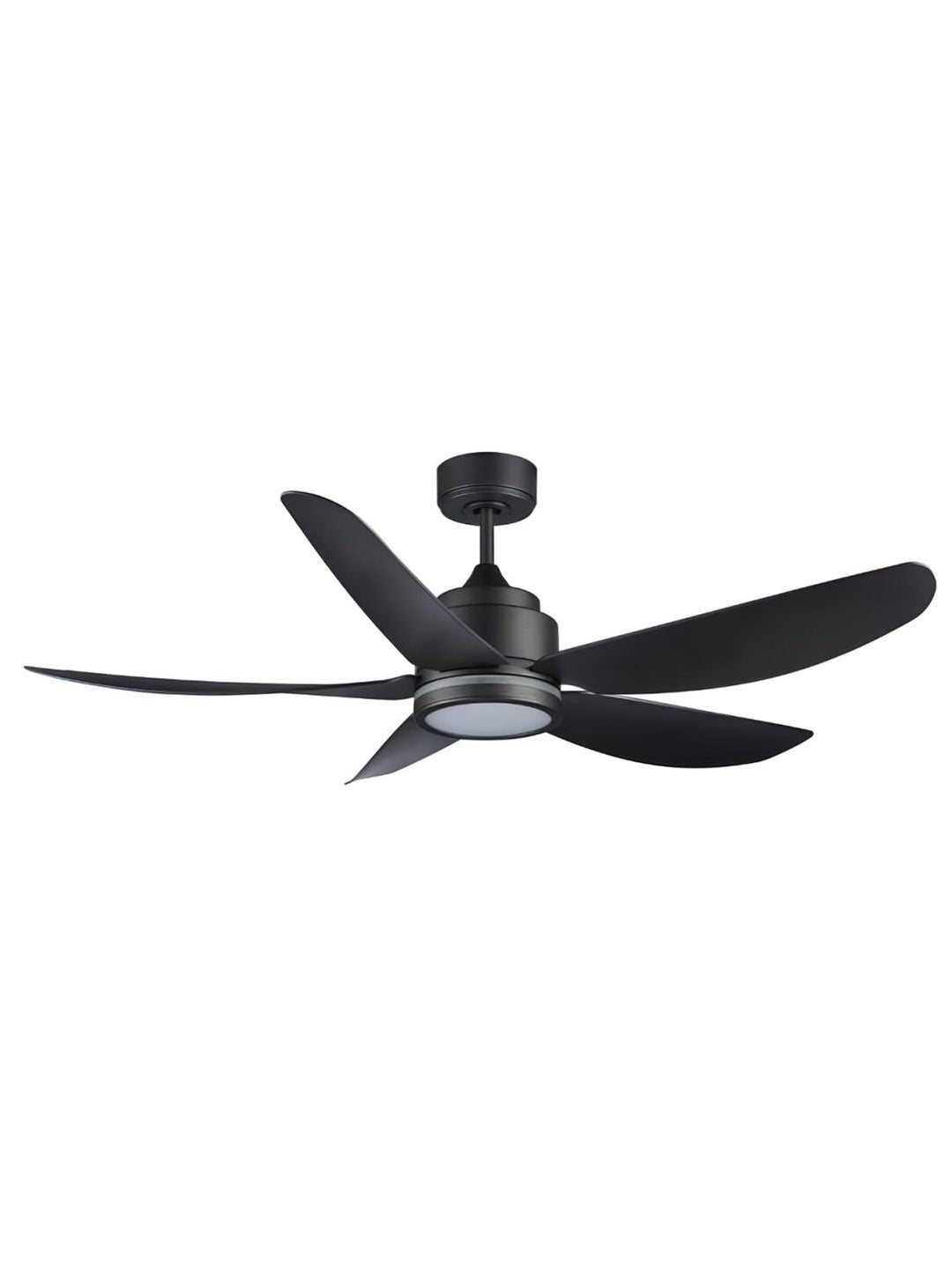 Designer Fans