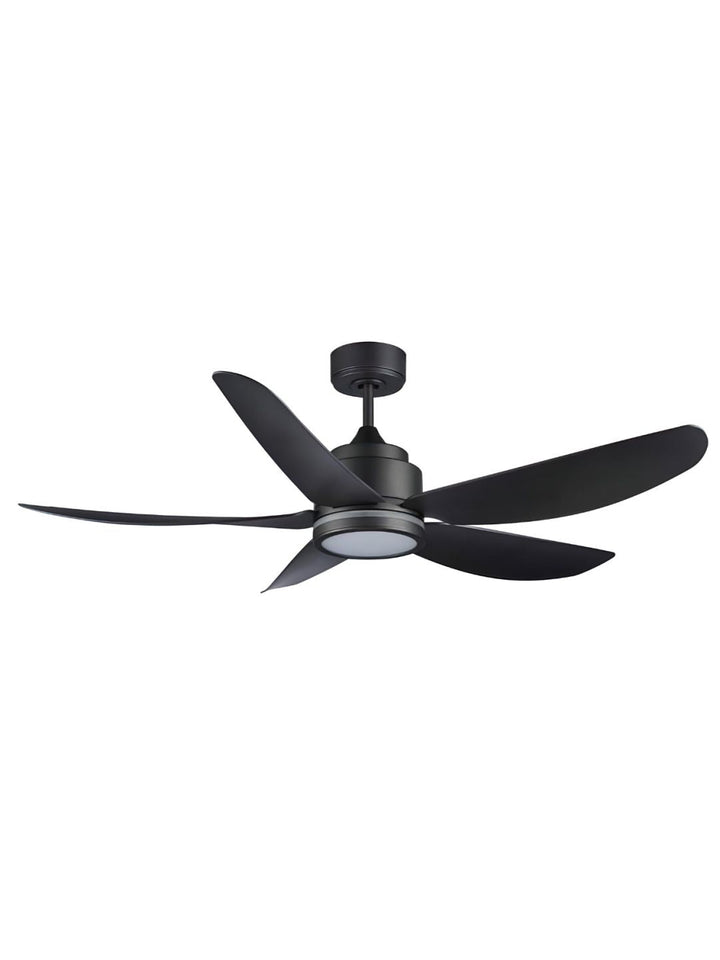 Designer Fans