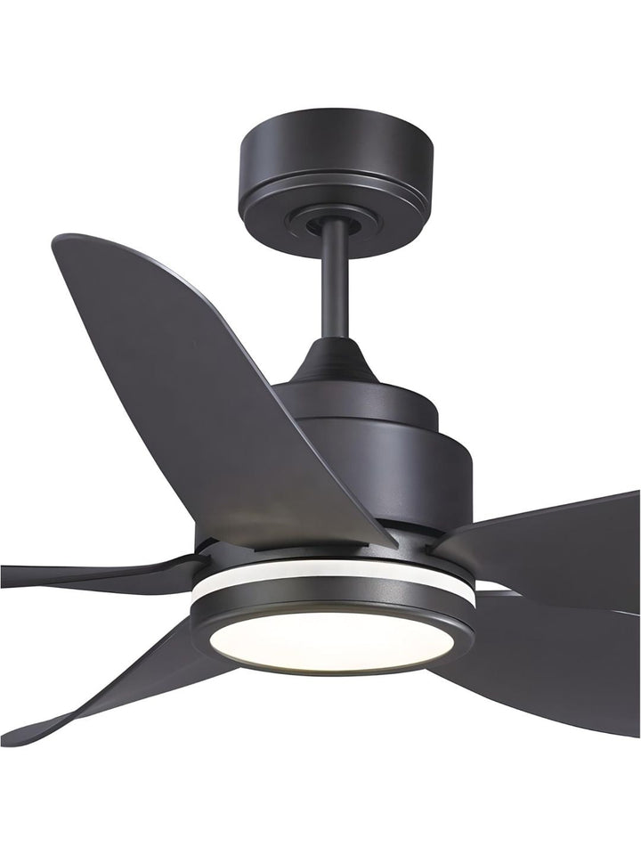 Designer Fans