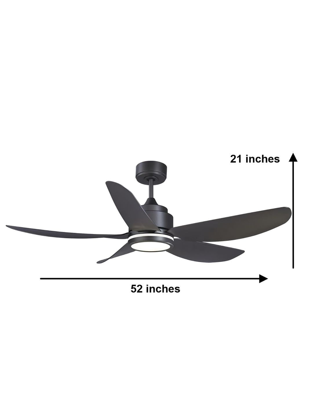 Designer Fans