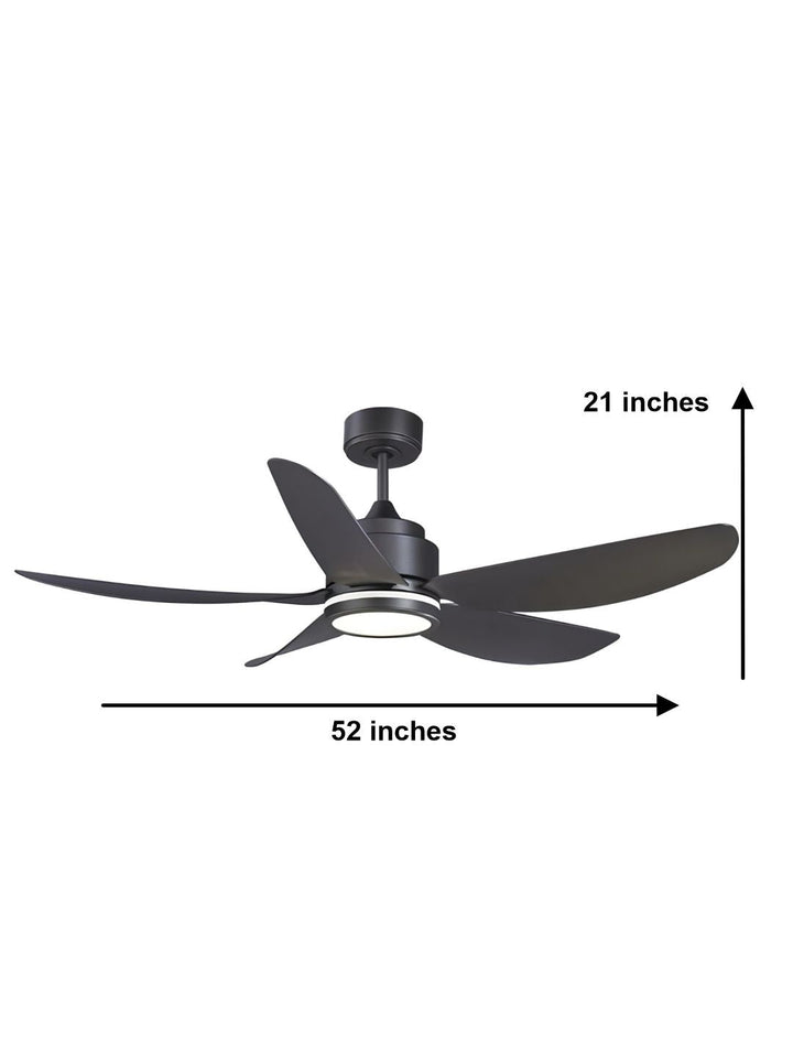 Designer Fans