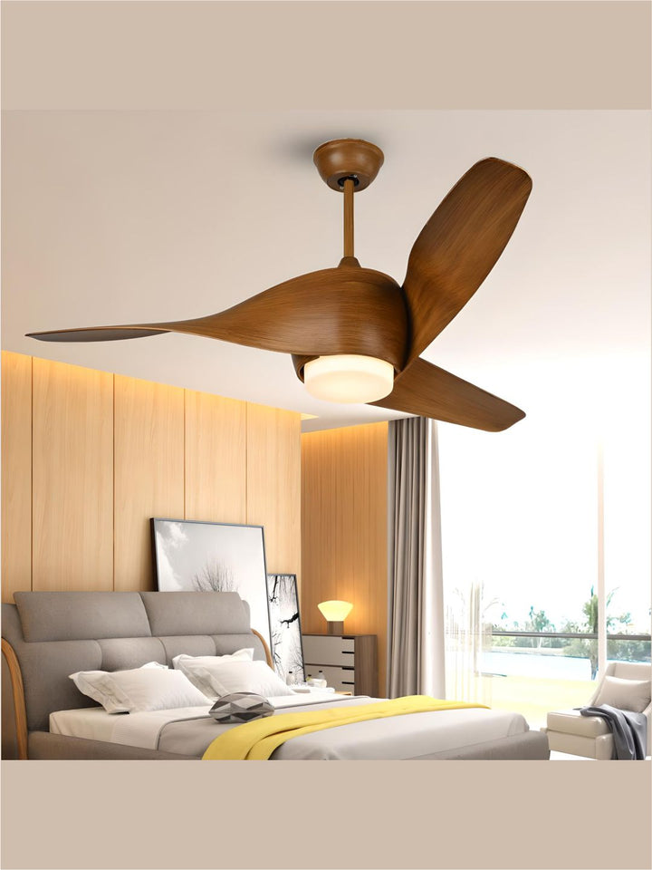 Designer Fans