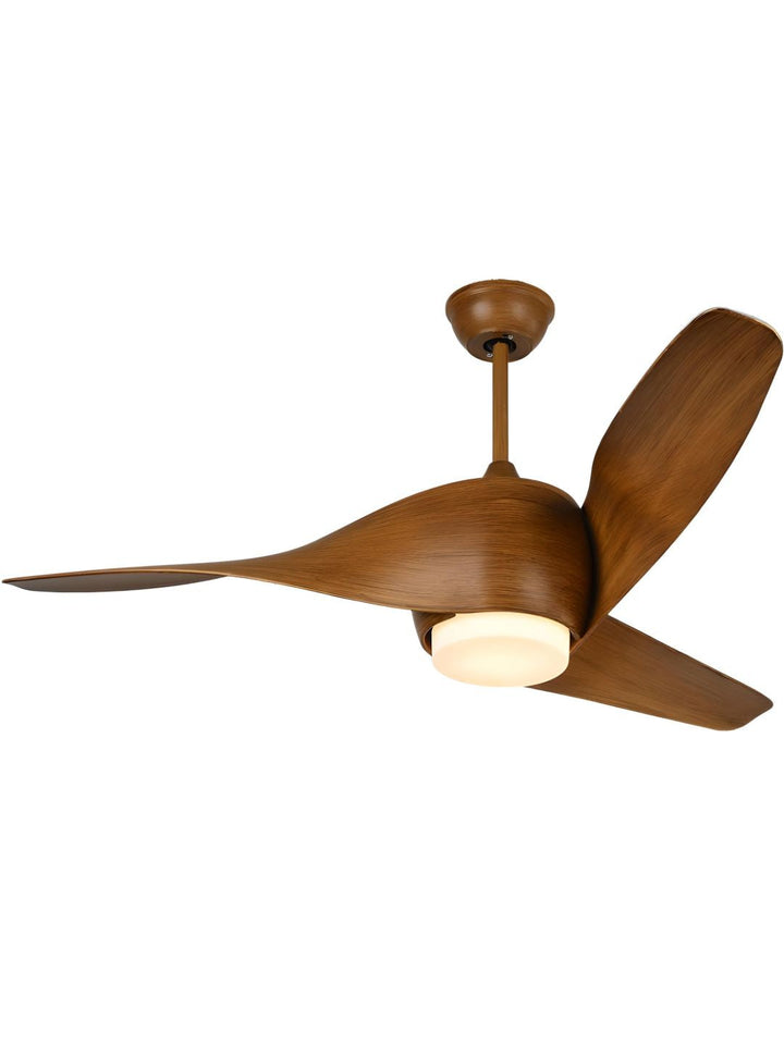 Designer Fans