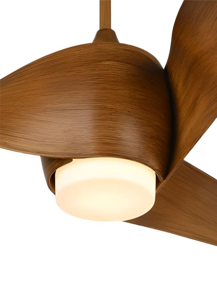 Designer Fans