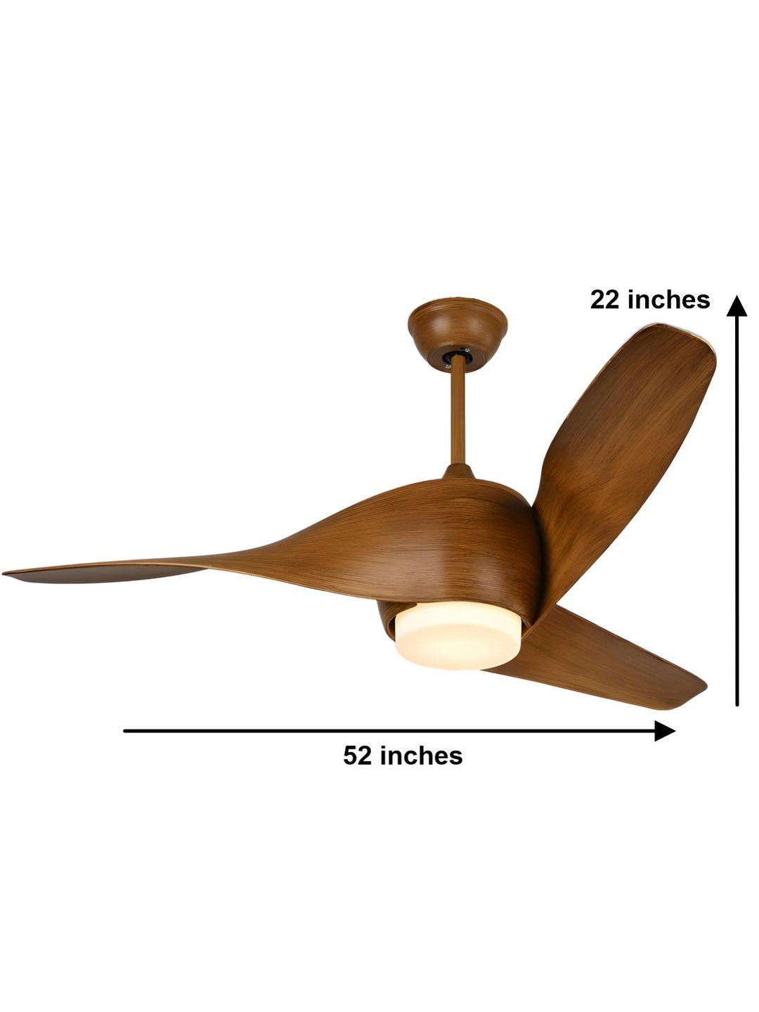 Designer Fans