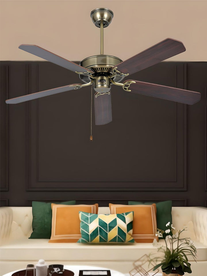 Designer Fans