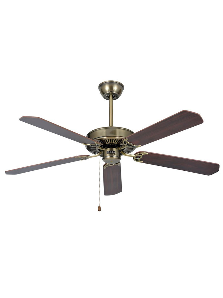 Designer Fans