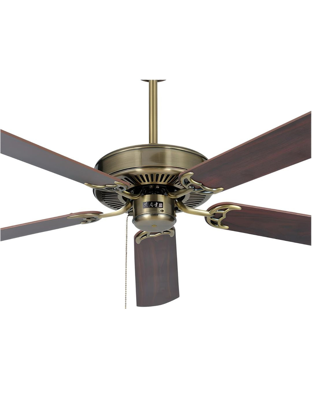 Designer Fans