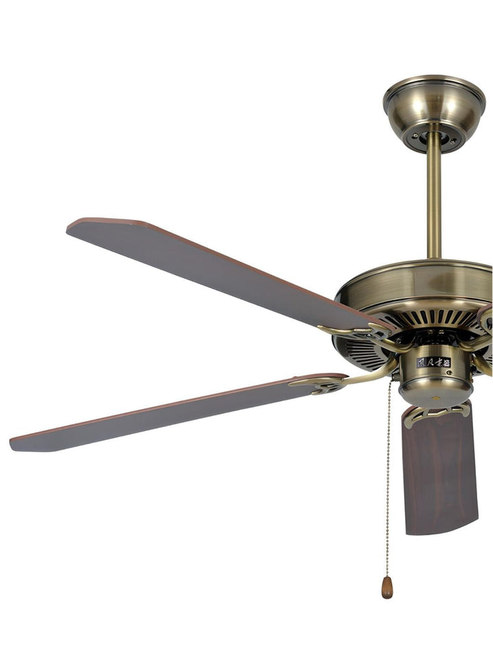 Designer Fans