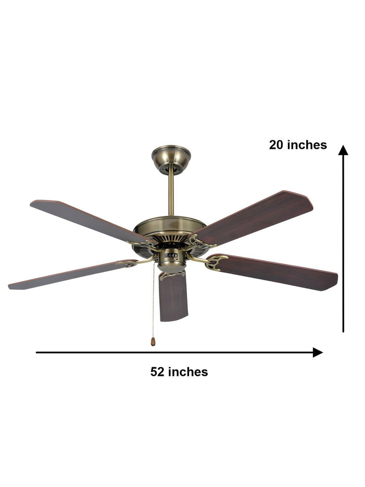 Designer Fans