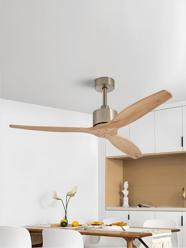 Designer Fans