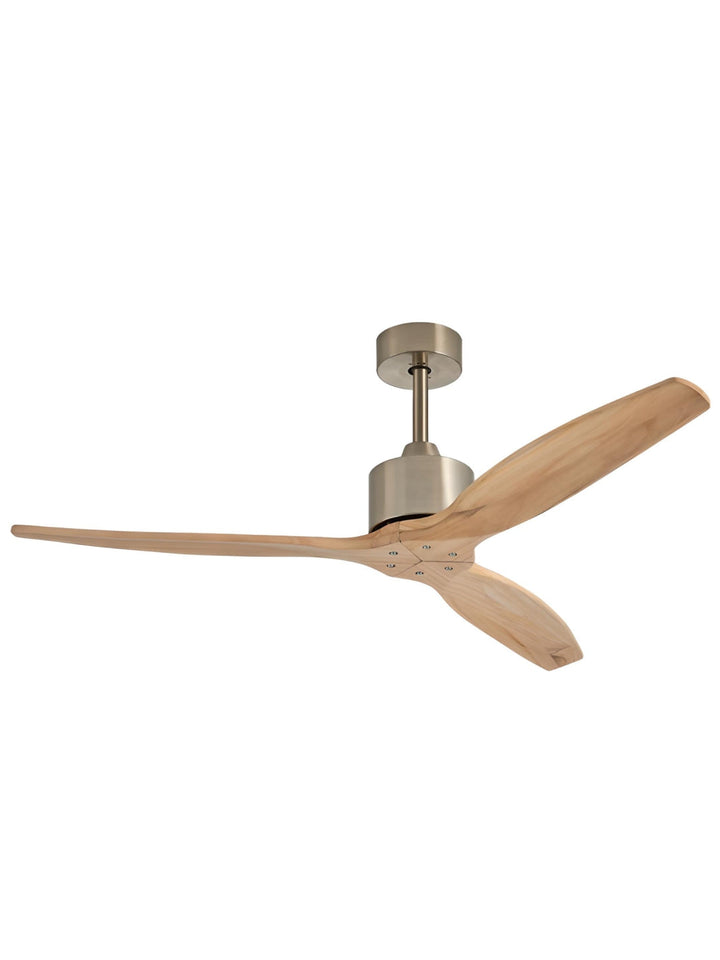 Designer Fans
