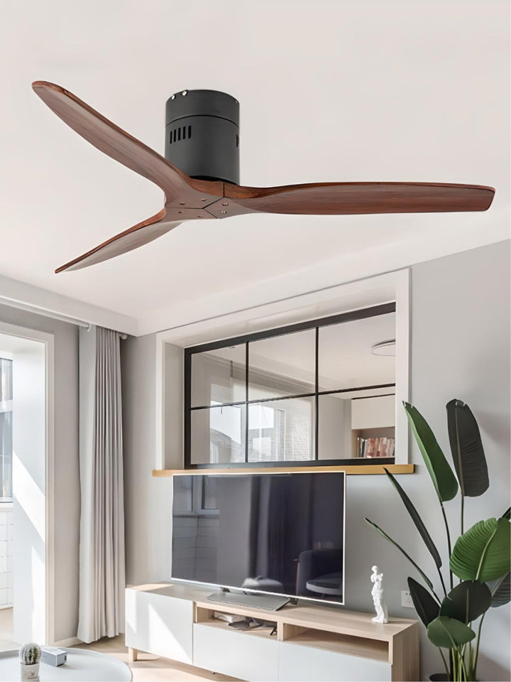 Designer Fans