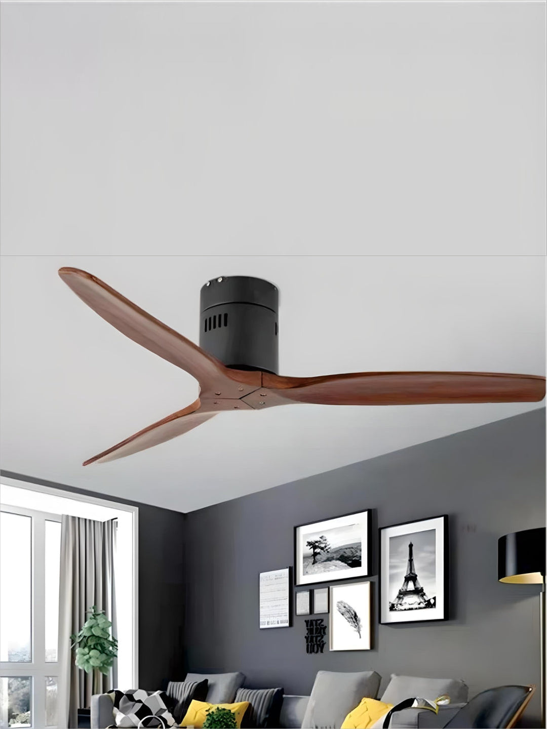 Designer Fans