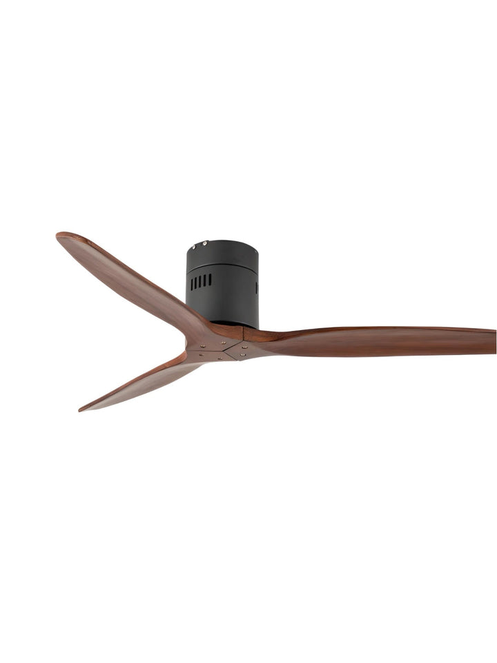 Designer Fans