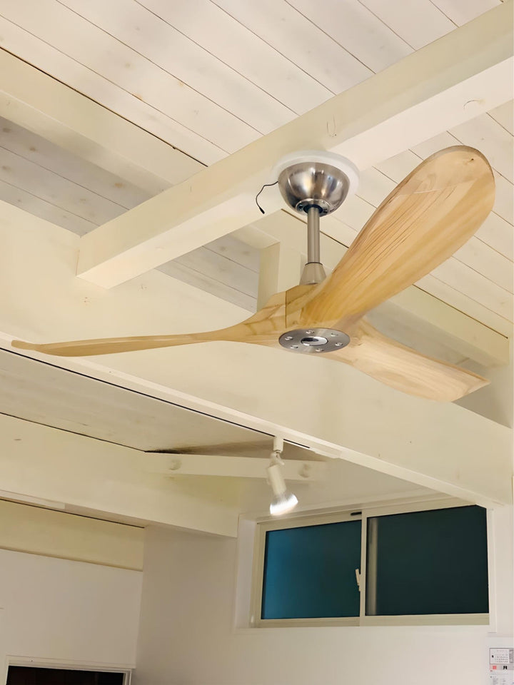 Designer Fans