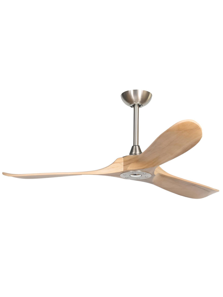 Designer Fans