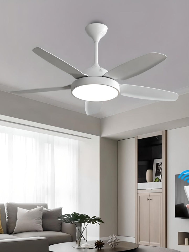 Designer Fans