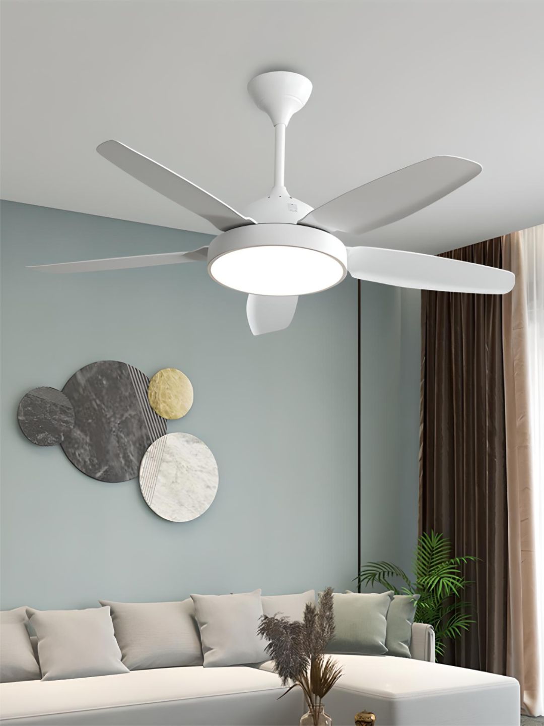 Designer Fans