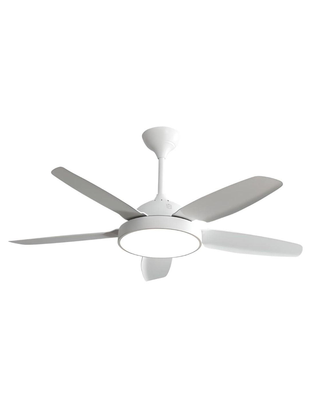 Designer Fans