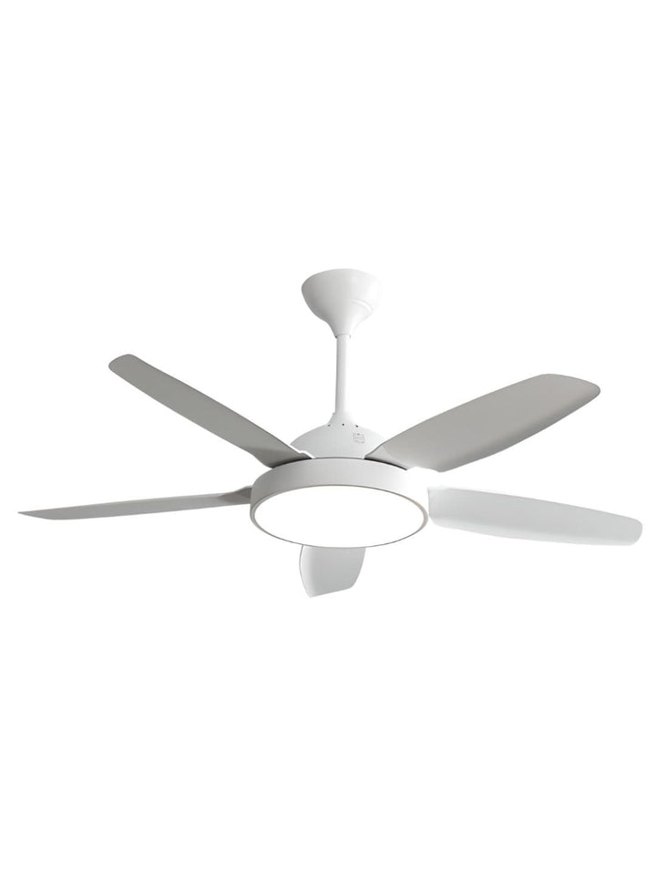 Designer Fans