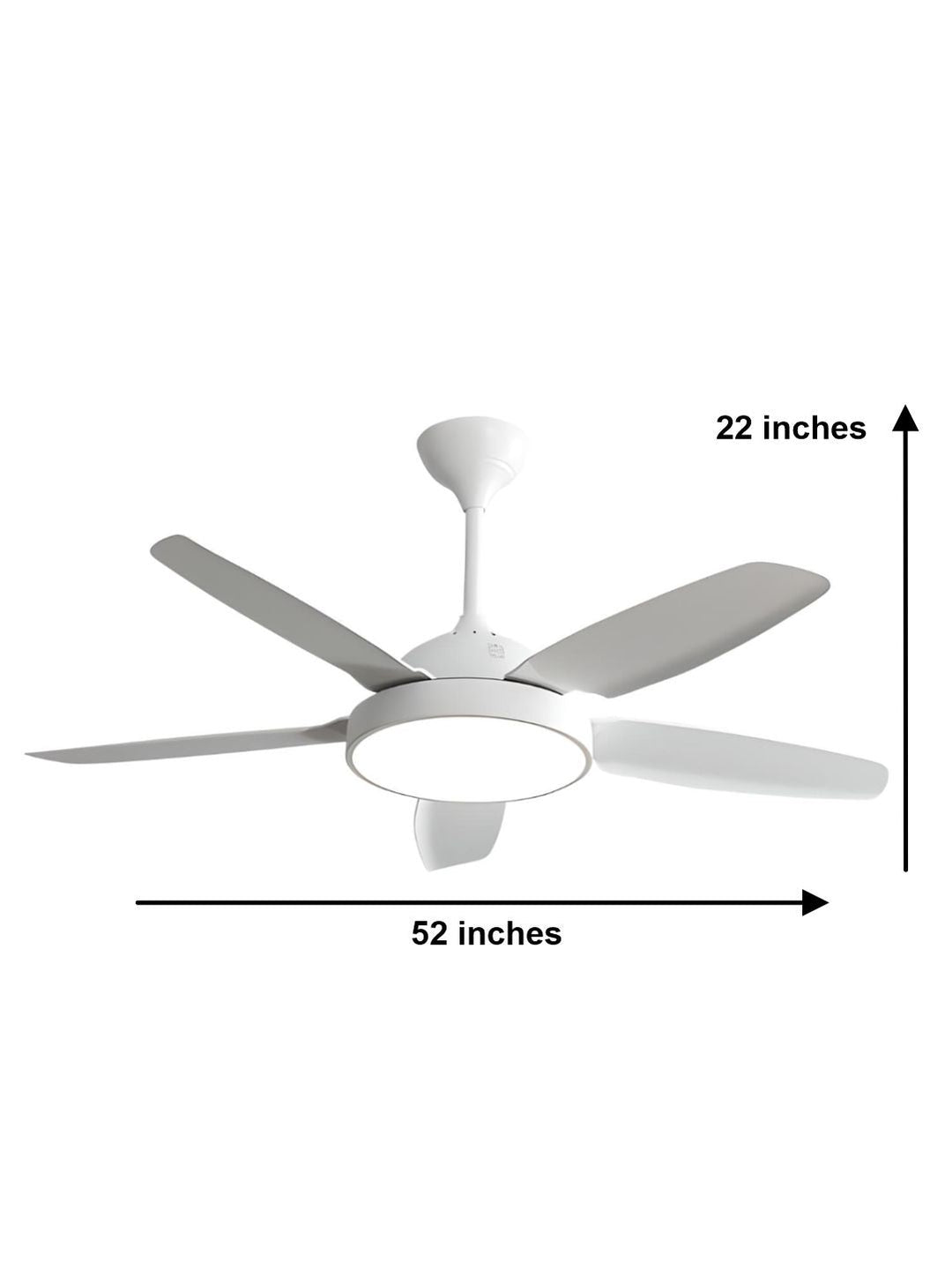 Designer Fans