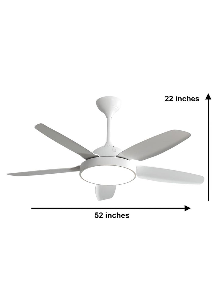 Designer Fans