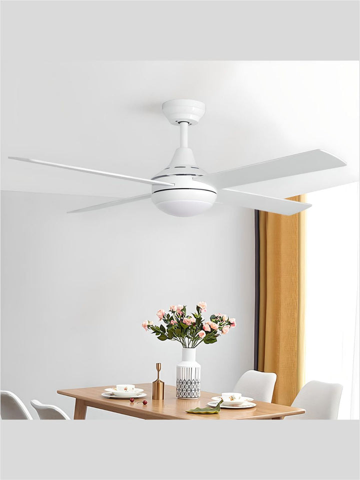 Designer Fans