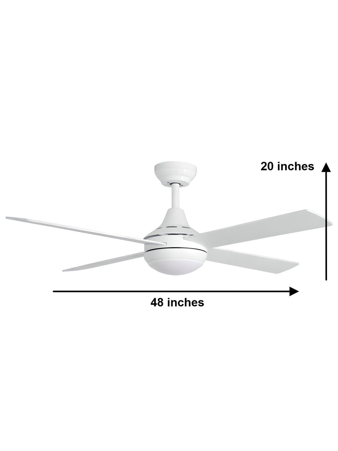Designer Fans