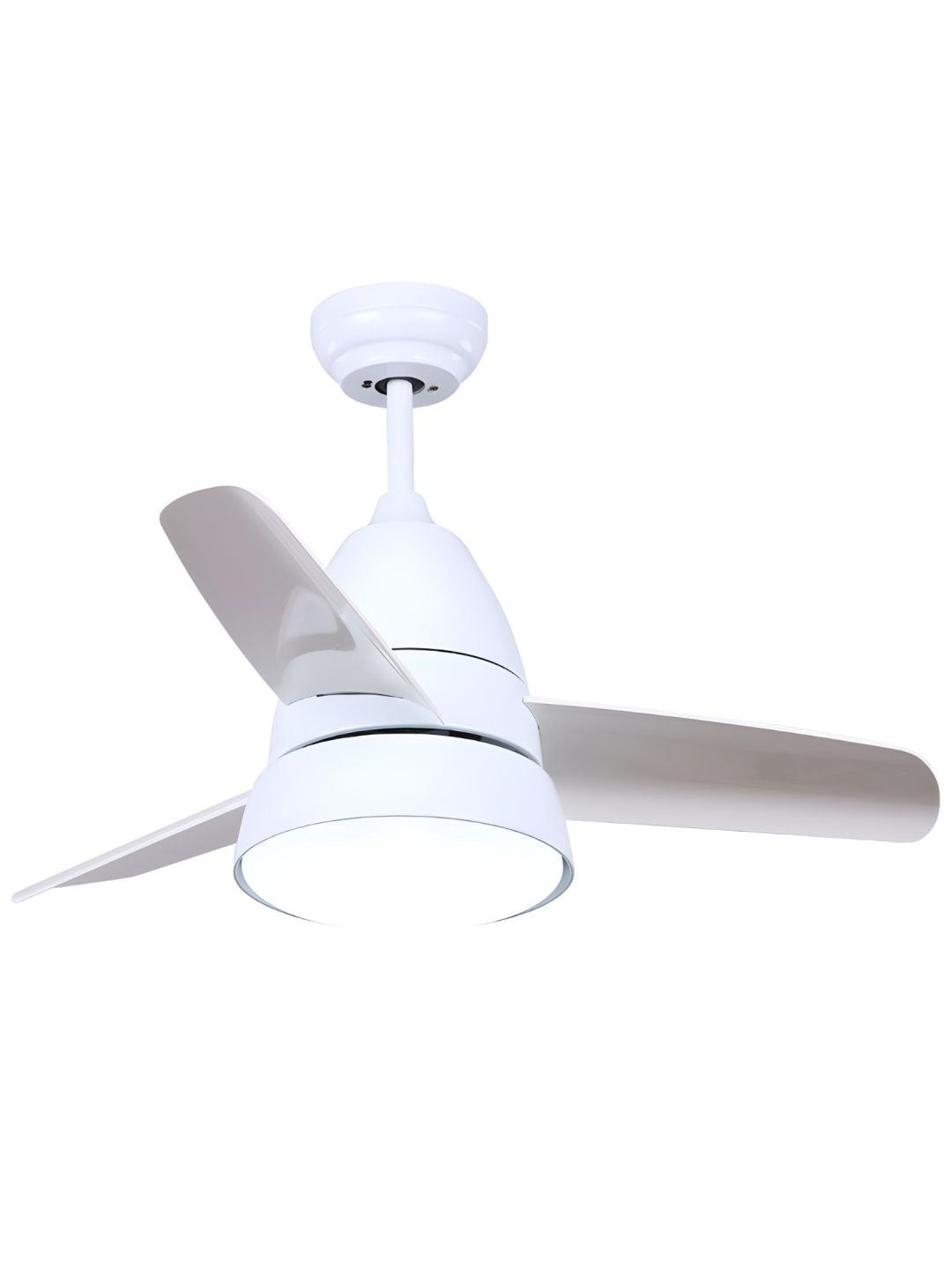 Designer Fans
