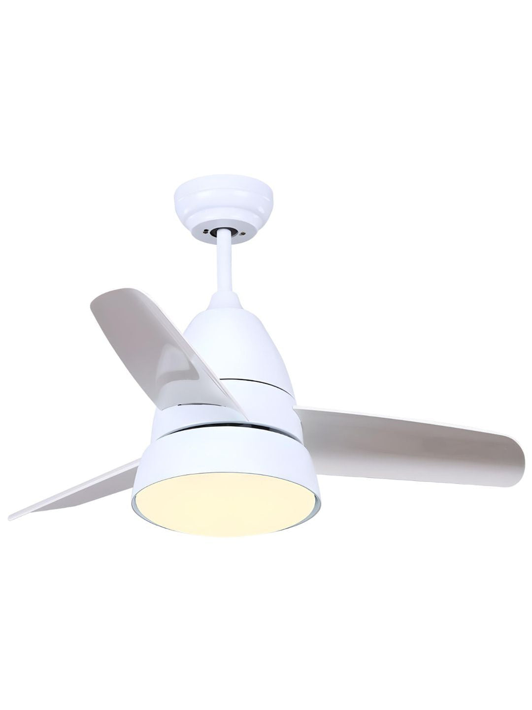 Designer Fans