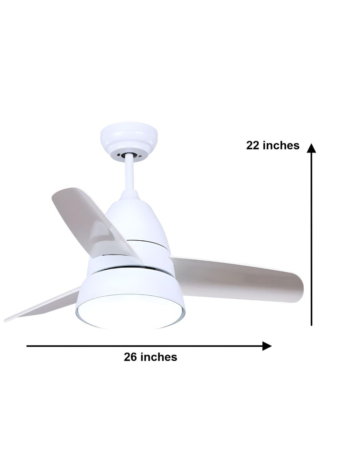 Designer Fans
