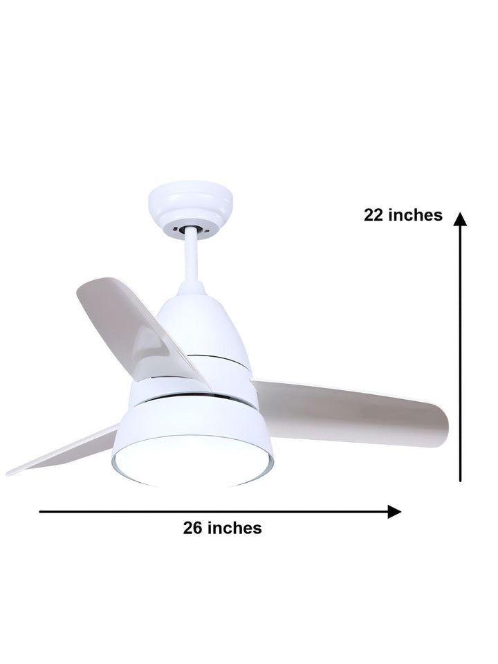 Designer Fans