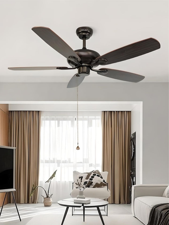 Designer Fans