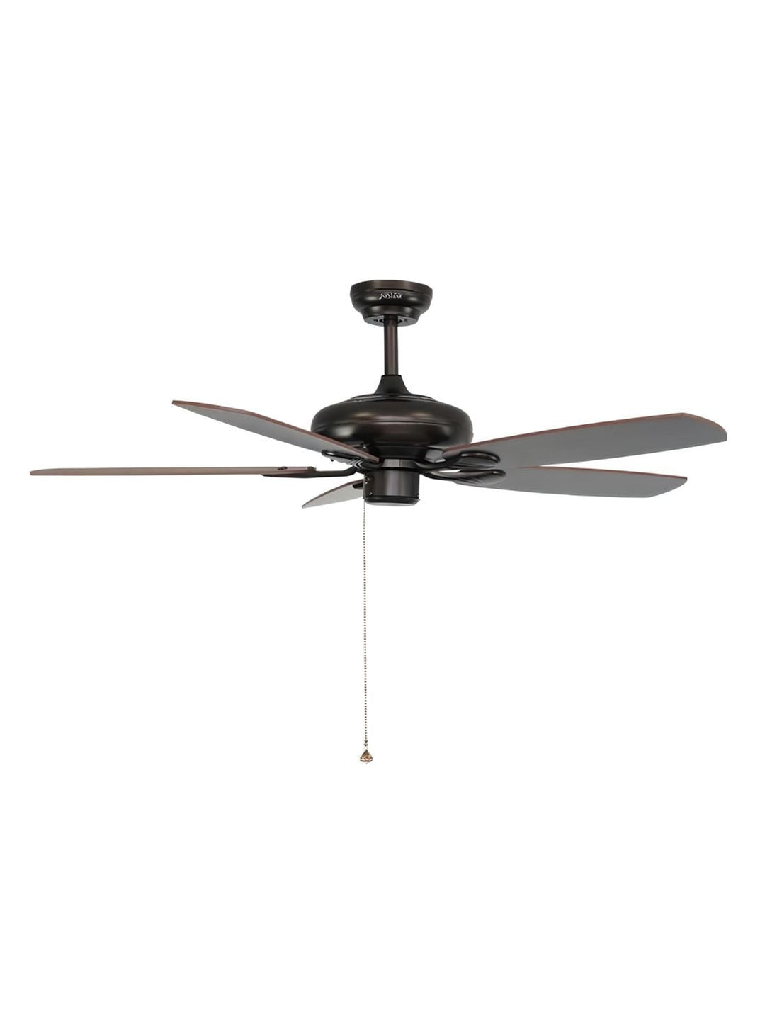 Designer Fans