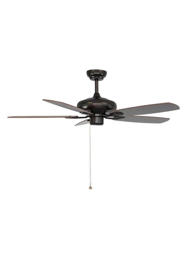 Designer Fans