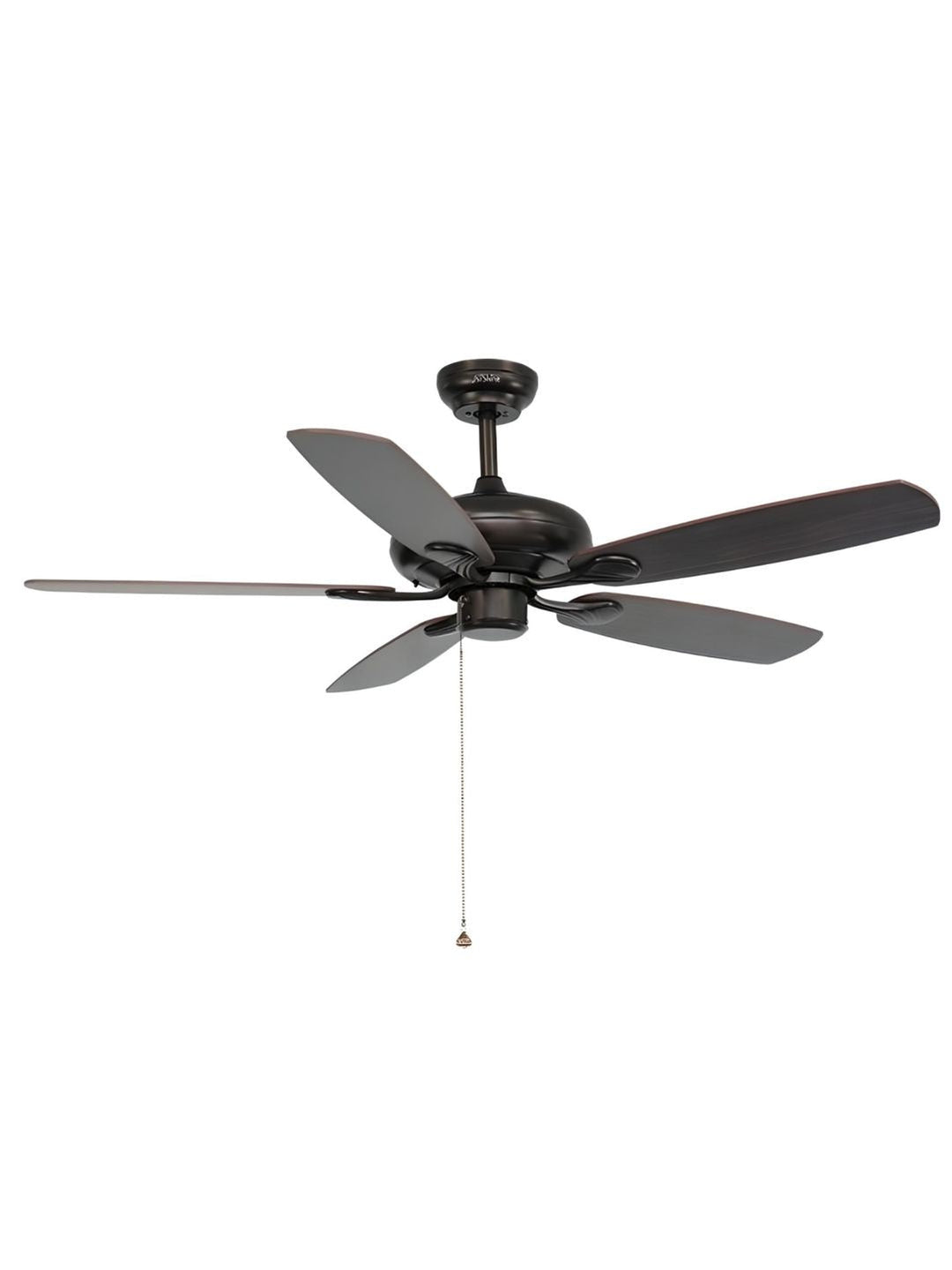 Designer Fans