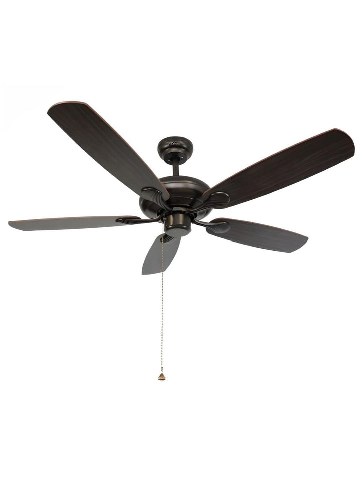 Designer Fans