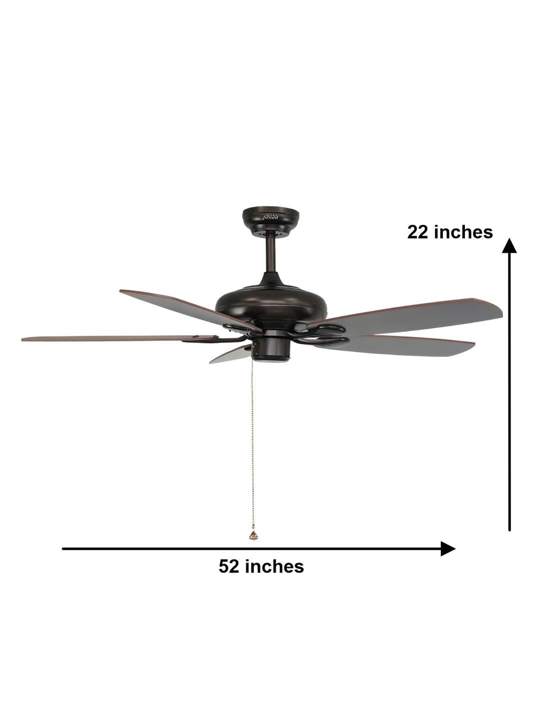Designer Fans