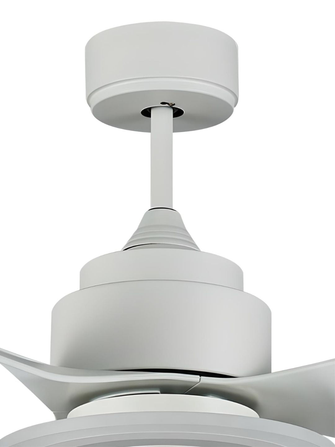 Designer Fans